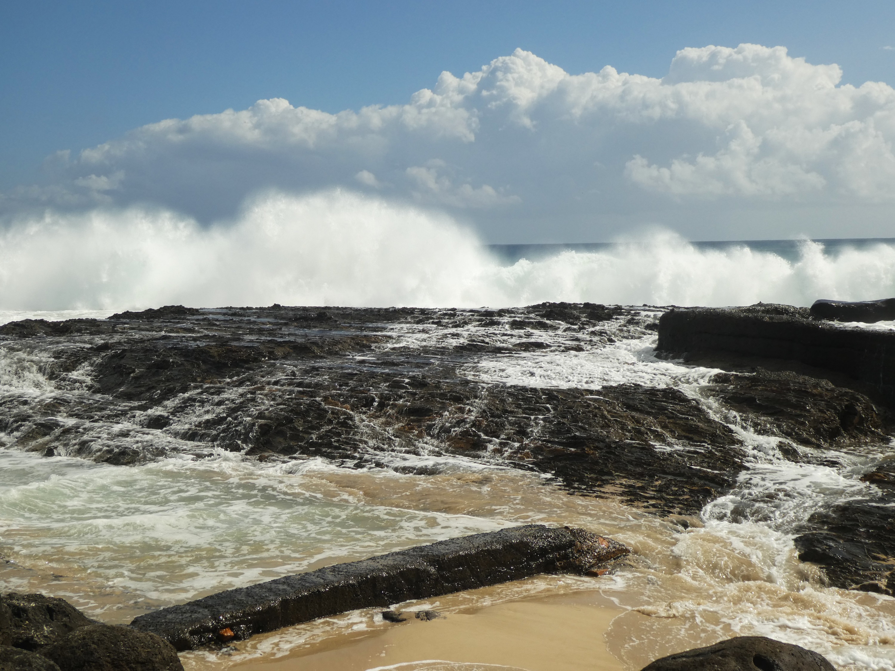 2023 Walk - January (2)